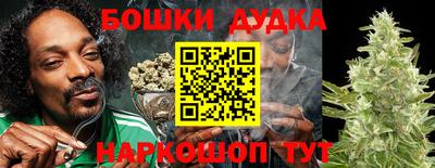 гидропоника Краснознаменск