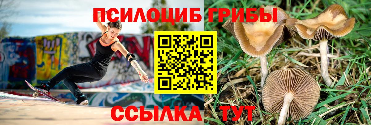 Псилоцибиновые грибы Magic Shrooms  Вход с VPN  Касимов 